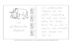 Mini-Buch-Afrikanischer-Elefant-VA.pdf